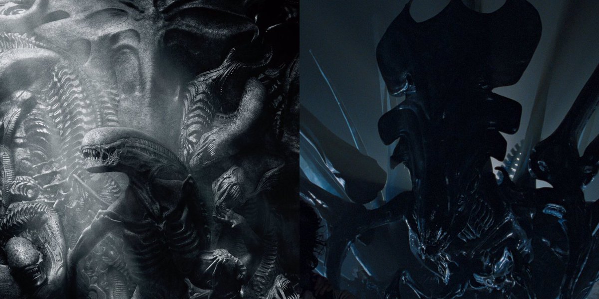 Popchoclo tweet media