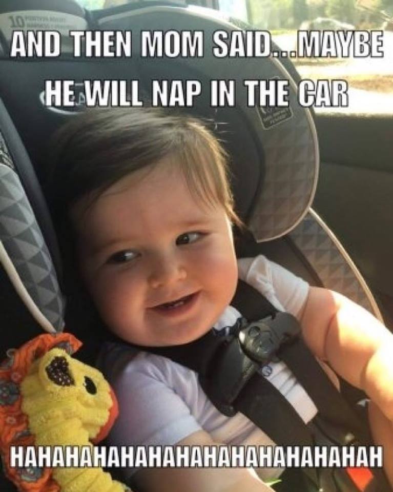 GooseWaddle's tweet photo. If your little one likes to nap in the car, give the rest of us some tips! #Baby #Naptime #BabyNaps https://t.co/dZcjA9UzLq