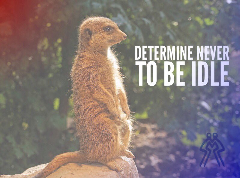 moves2inspire's tweet image. &quot;We lack time not because there is not enough time but because we lose too much of it.&quot;

#lazybrain #moves2inspire

moves2inspire.com/fitness/creati…