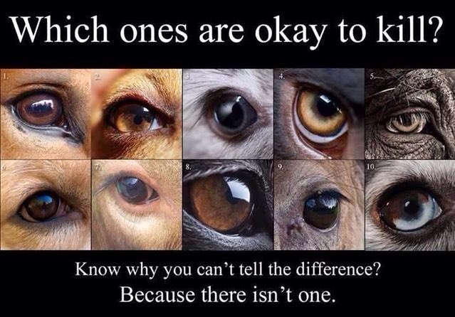 I would rather be known as someone who was trying to make a change, than someone who knew it was wrong but still did nothing.
#BeTheChange