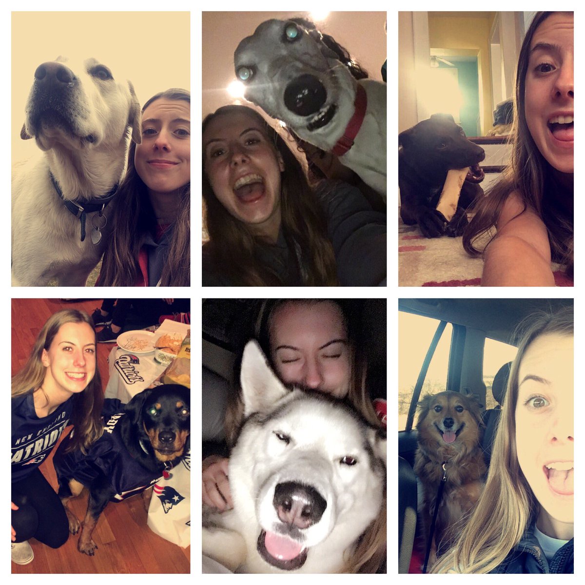 danacci5's tweet photo. Happy National Pup Day! Wish I had my own pup but luckily my friends let me hang out with their pups! 🐶❤ #NationalPuppyDay https://t.co/SsIl6dCnOJ