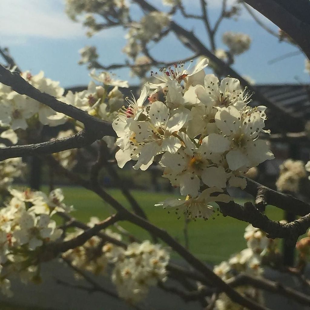 NASOPURE's tweet photo. Pretty or ominous, it all depends on perspective. Get out and enjoy the spring break weath… https://t.co/d4vR7Ac7cN https://t.co/QXyaYxyJQU