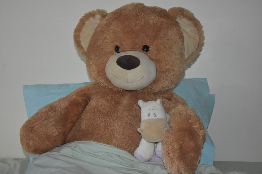 skip_bins's tweet photo. Friday goals:  Wake up. Be awesome. Have snacks. That is all..-Ted #2ezyted #2ezyskips #friday #skipbins #skiphire #miniskips #bearlife https://t.co/LKTkguhUzt