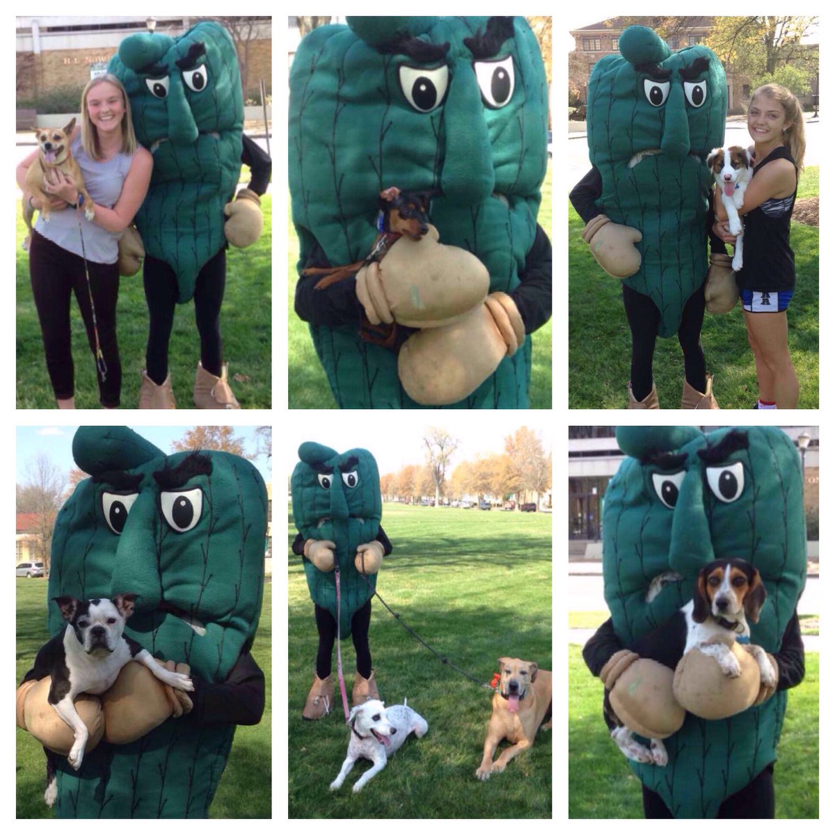 #NationalPuppyDay was a success! Thanks to everyone that came out and celebrated with the fiercest mascot we know 💚🐶