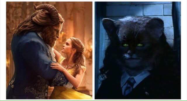 Tweets Hogwarts tweet media