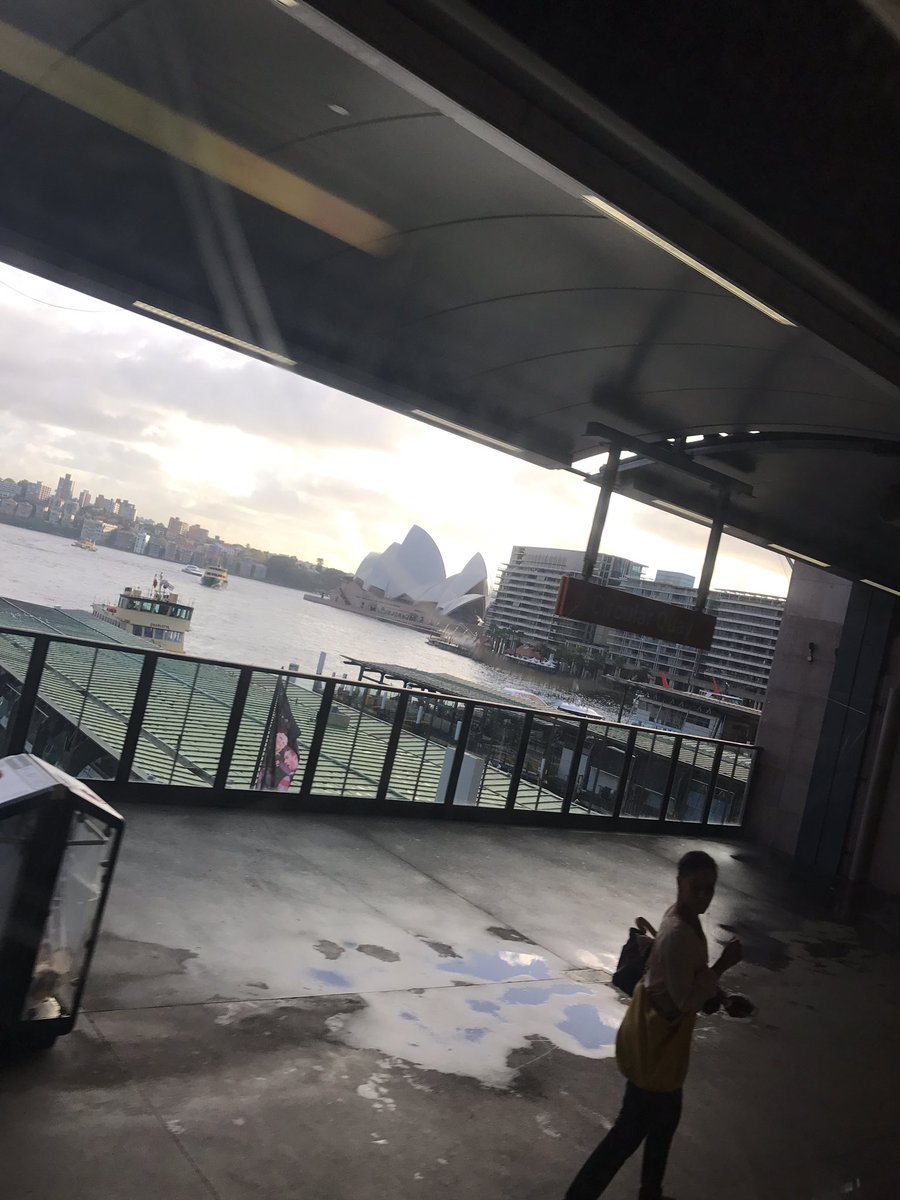 kellilgray's tweet photo. The sun is finally making an appearance #trainwindows #operahouse #fitchick #sydney https://t.co/QZEa7xsNsZ