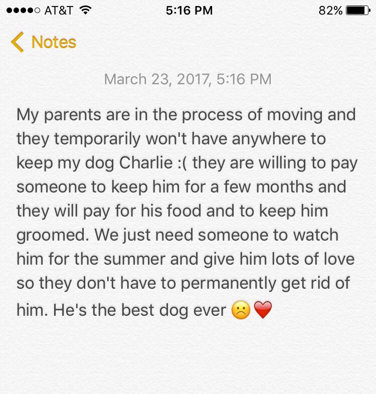 gray_ceee's tweet photo. If u or anyone u know would be interested just dm me!! Plz plz he's the best 💓 https://t.co/xDCDf28eNU