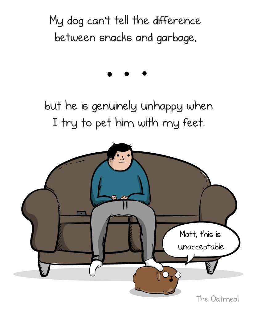 Can You Give Oatmeal To Dogs