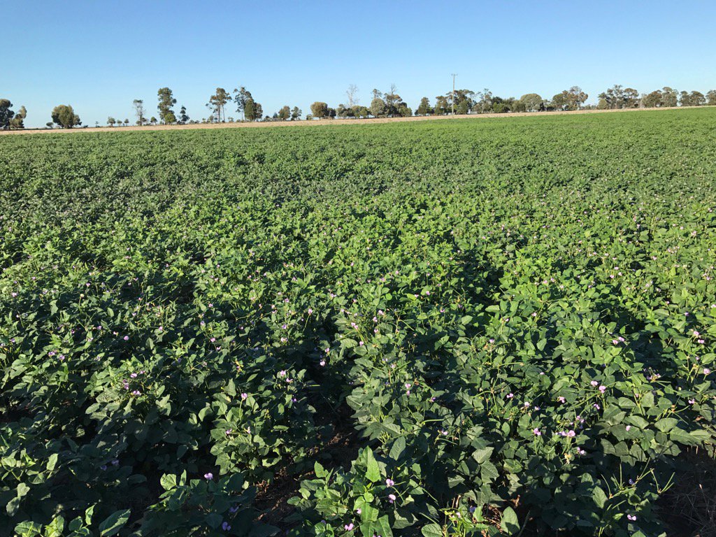 Damien Scanlan (@DamScanlan) | Twitter