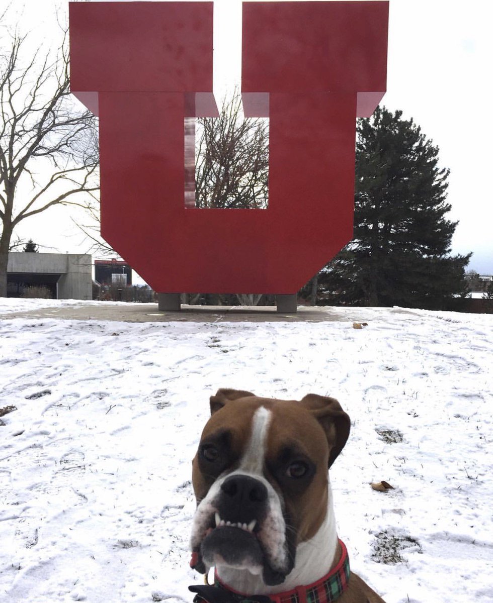 University of Utah tweet media