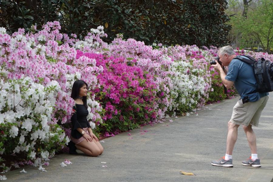 CWN_OFFICIAL's tweet photo. Dallas Blooms, the largest floral festival in southwest U.S., is held at dallasarboretum and botanical garden https://t.co/g5W6TCC9LM