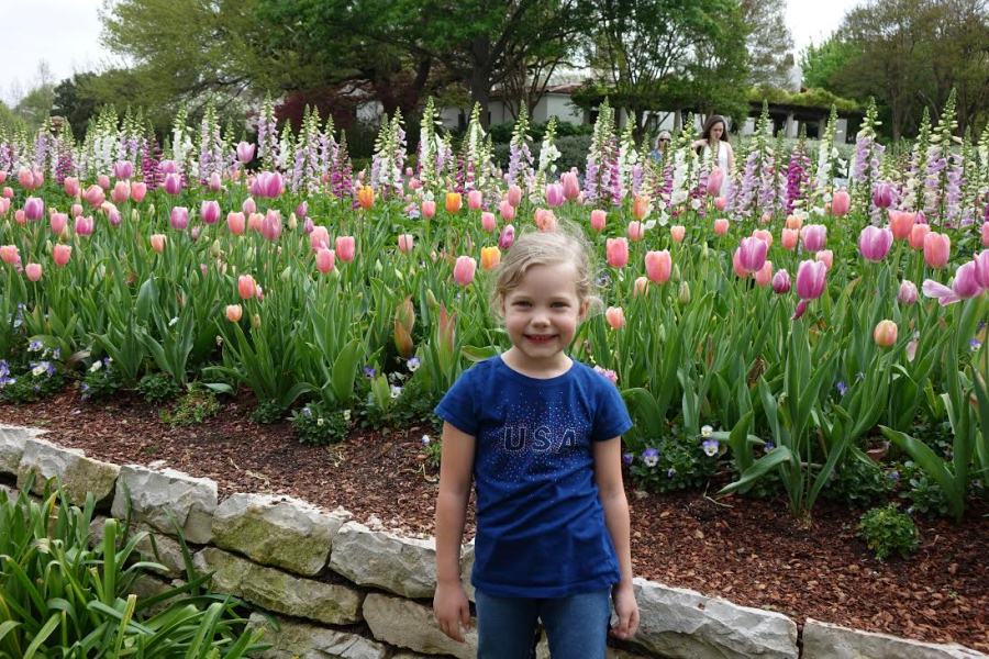 CWN_OFFICIAL's tweet photo. Dallas Blooms, the largest floral festival in southwest U.S., is held at dallasarboretum and botanical garden https://t.co/g5W6TCC9LM