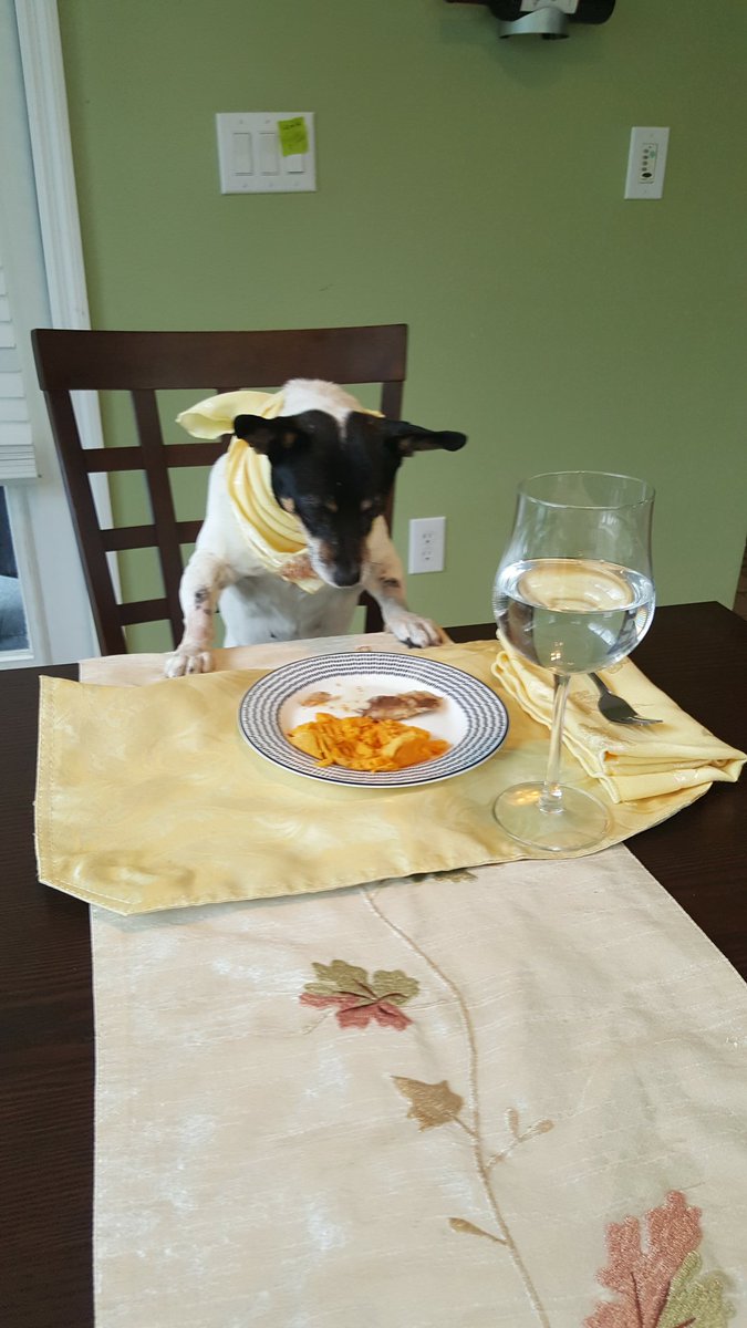 mimiweightloss's tweet photo. Dinner time. Sardines with sweet potato..Yummy. #bonappetit #ratterriers #dinnertime #healthydog https://t.co/L778gprEVK