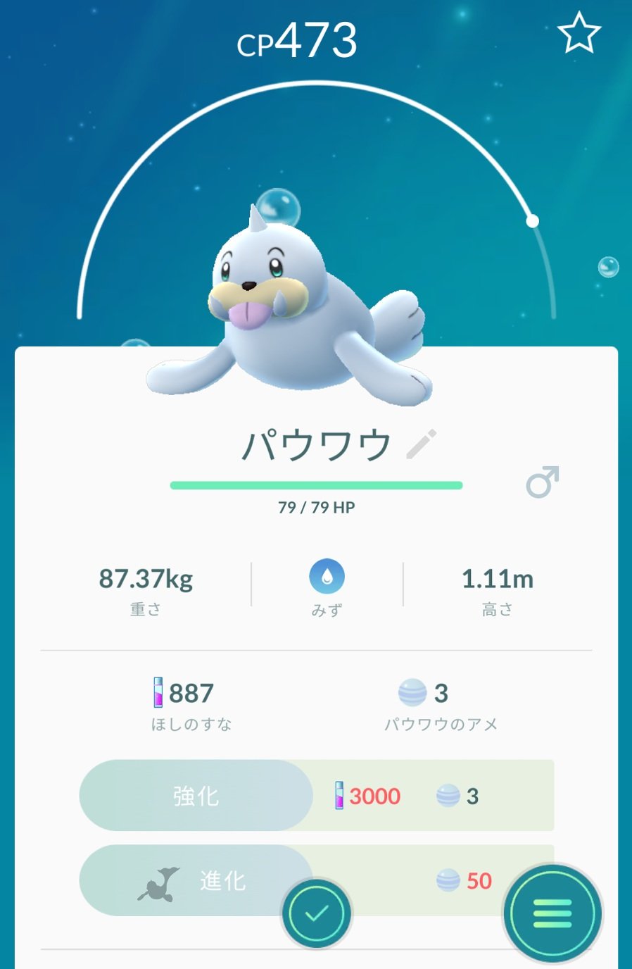 ばしみけ Pちゃん Pa Twitter パウワウって なんかアザラシとかセイウチ みたいなポケモンゲットだぜ こっちは進化有るけど 初なんで 飴貯めるの大変かな ポケゴ ポケモン パウワウ T Co Atrdsbnjrq Twitter