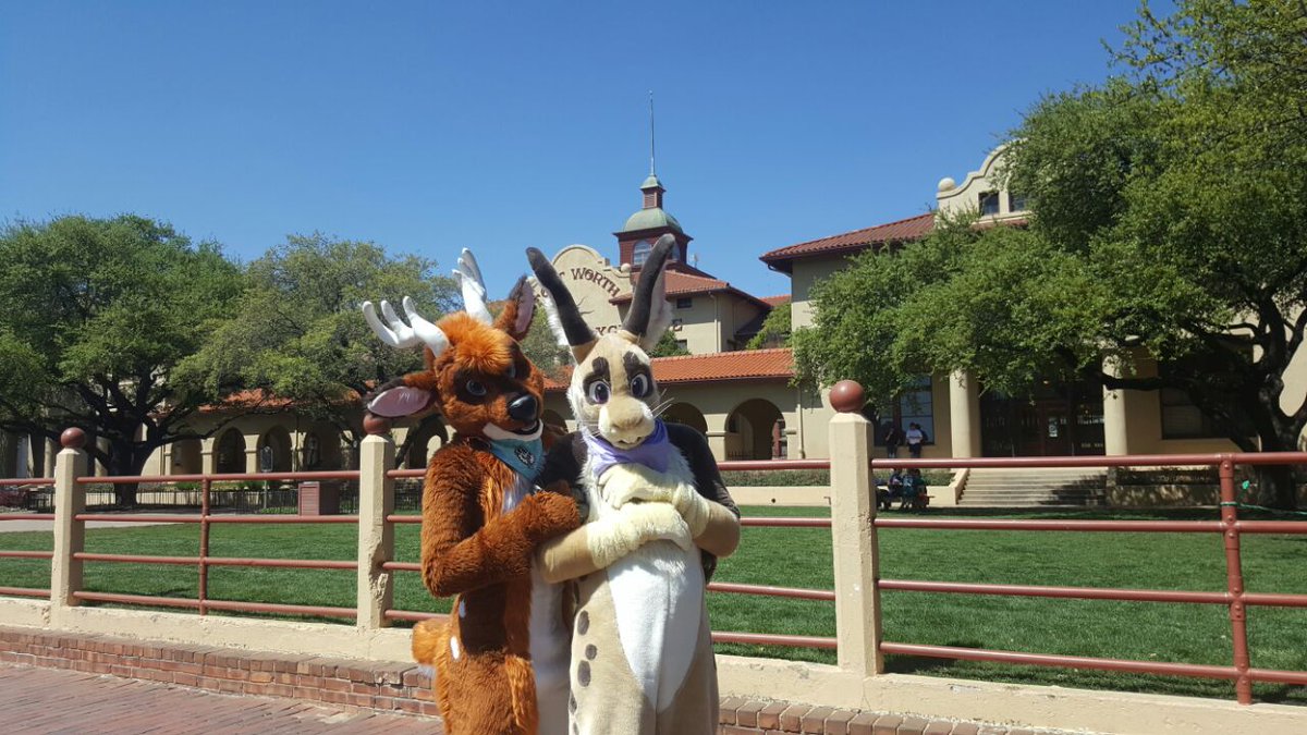BuckleyDeer's tweet photo. Howdy y'all! Went to the Fort Worth stockyards before #TFF2016 with @rabidrabbit56 and @EquusSilvermane :)
📸: @magadeergon https://t.co/aqjdPWyNz3