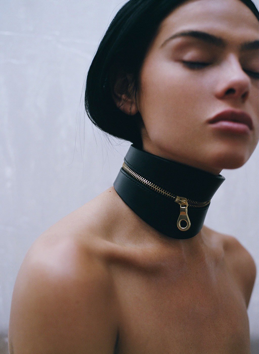 “The Zip Curve Collar https://t.co/ym7qLL9wmK” .