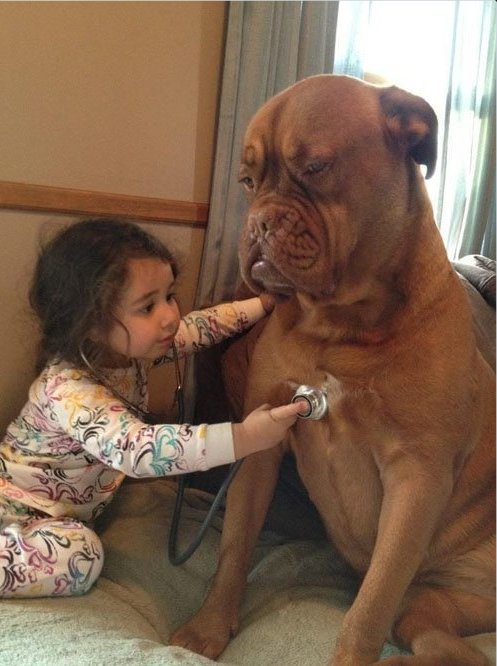 Tani_Dublin's tweet photo. Give it to me straight Doc!! https://t.co/P4ms7ugtNv