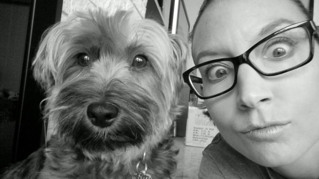 Happy National Puppy Day! Here are some of our furry friends. bit.ly/2nWFlxZ #dogsrule https://t.co/FHzW3glpuh