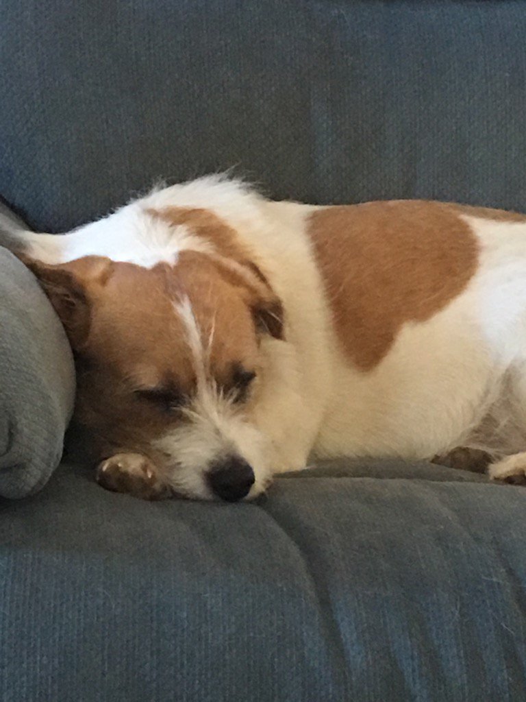 sheets_joyce's tweet photo. Maggie https://t.co/HMDTZQbx7a