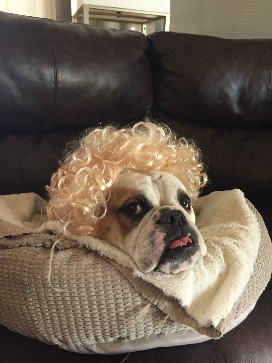 Lilly Miller tweet media