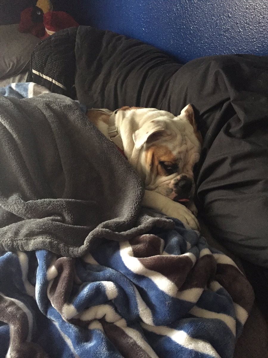 Lilly Miller tweet media