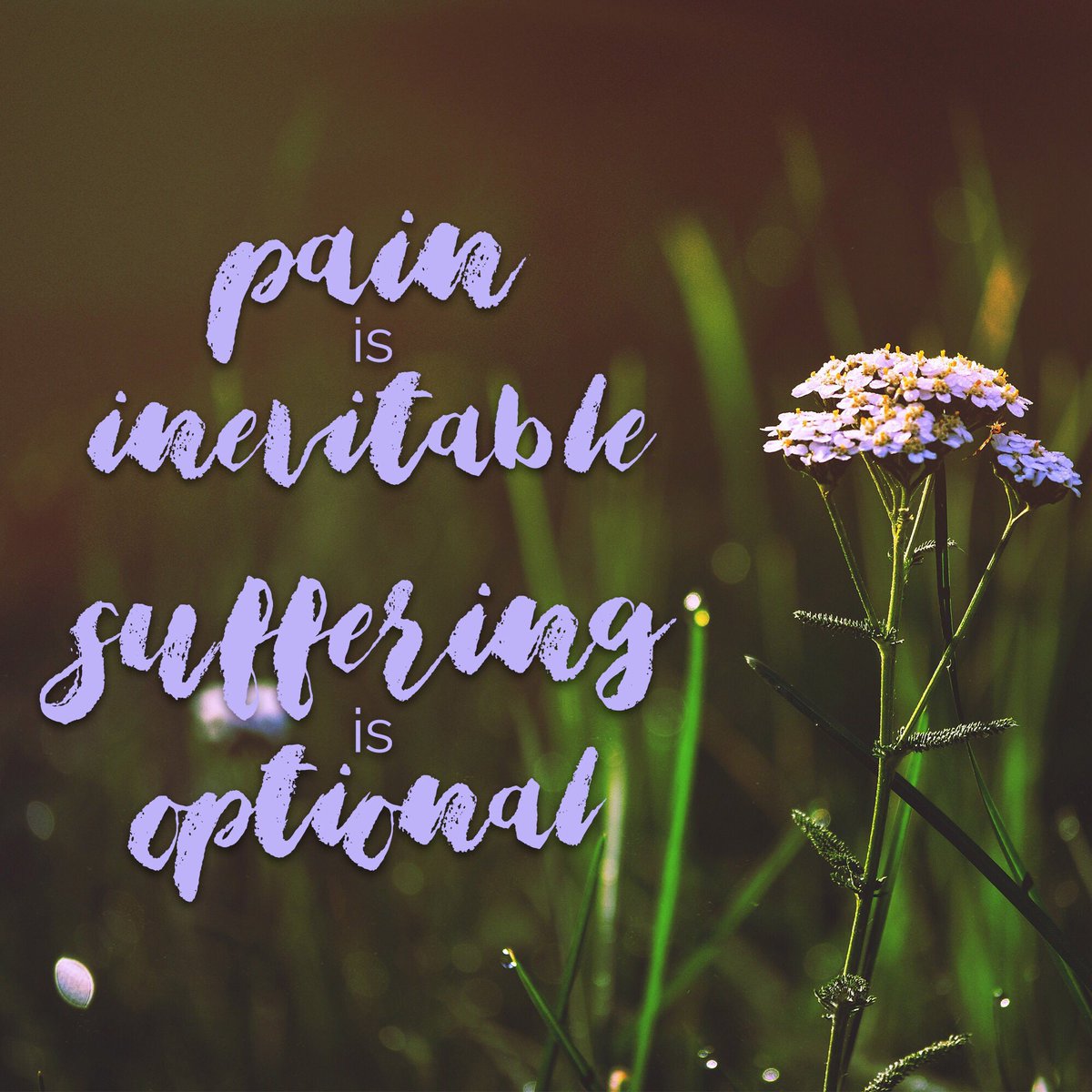 Chronic_Project's tweet image. Chronic illness can feel overwhelming - but positive outlooks can truly make an impact on how we live our lives.