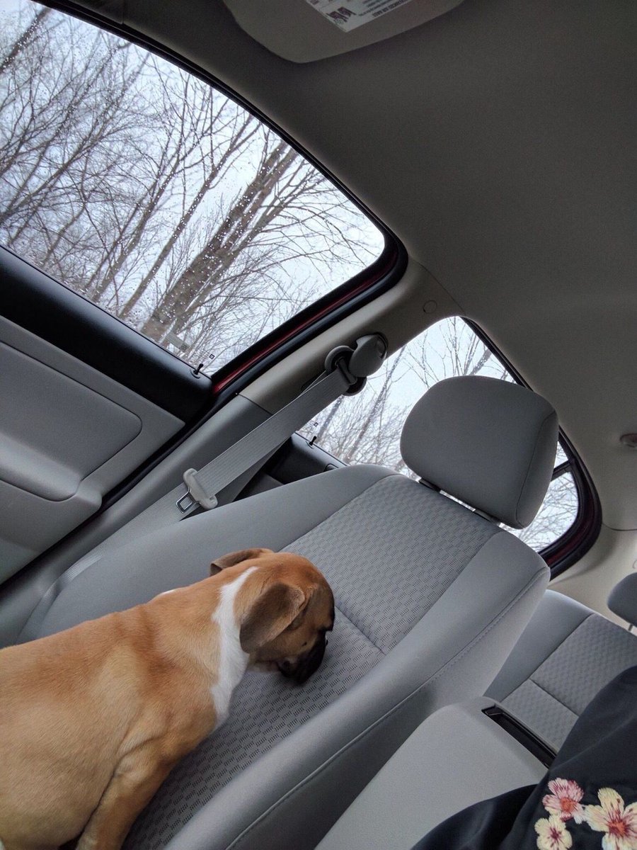 ColtonMatsushit's tweet photo. When he's taking you home after spending 17 hours together https://t.co/sqCqTwXNs8