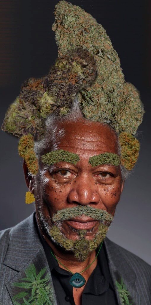 _Truffle_Report's tweet photo. Morgan Treeman https://t.co/X19BYaU1Ny