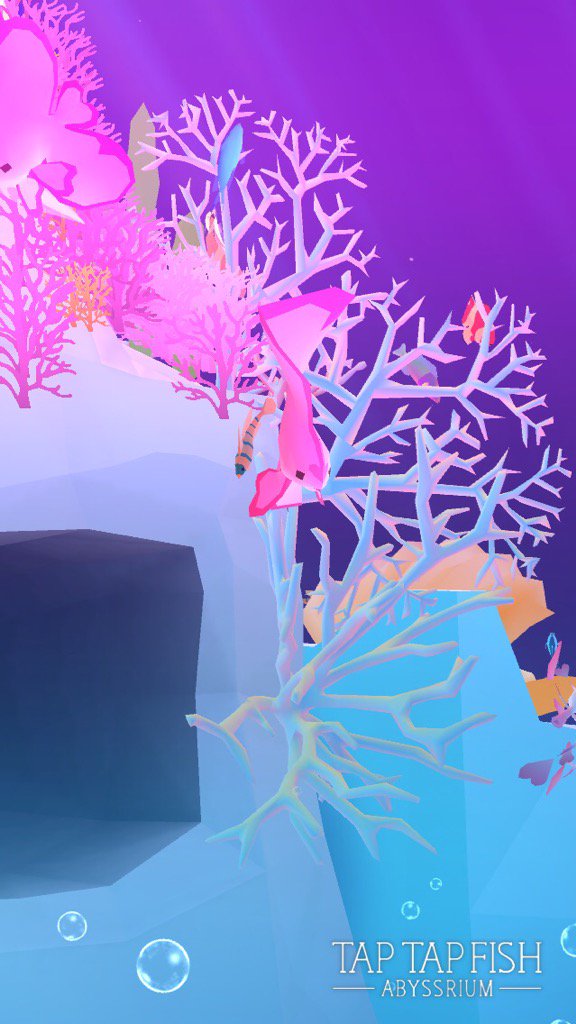 acdubski's tweet photo. My Pink Juvenile Pinnate Spadefish:) 
#taptapfish
Download: https://t.co/2l4PUxslaH https://t.co/QCvUkwZDIy