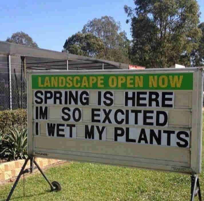 gardeningmagh's tweet photo. https://t.co/sky9Bv897w