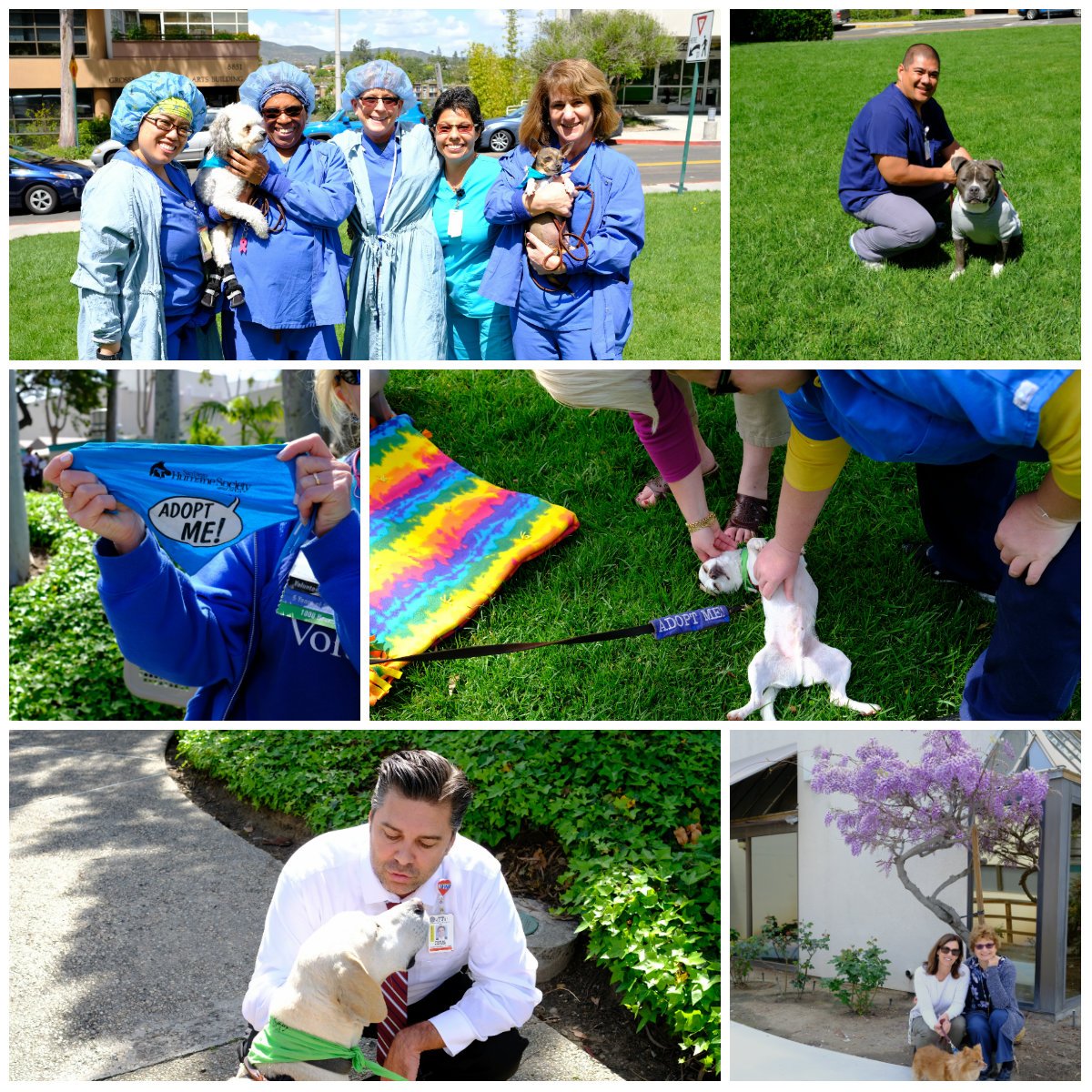 Our SGH team enjoyed sunshine &amp; a healthy break on #NationalPuppyDay! Thanks to <a href="/sdhumane/">San Diego Humane Society</a> &amp; their adoptable dogs for the visit!