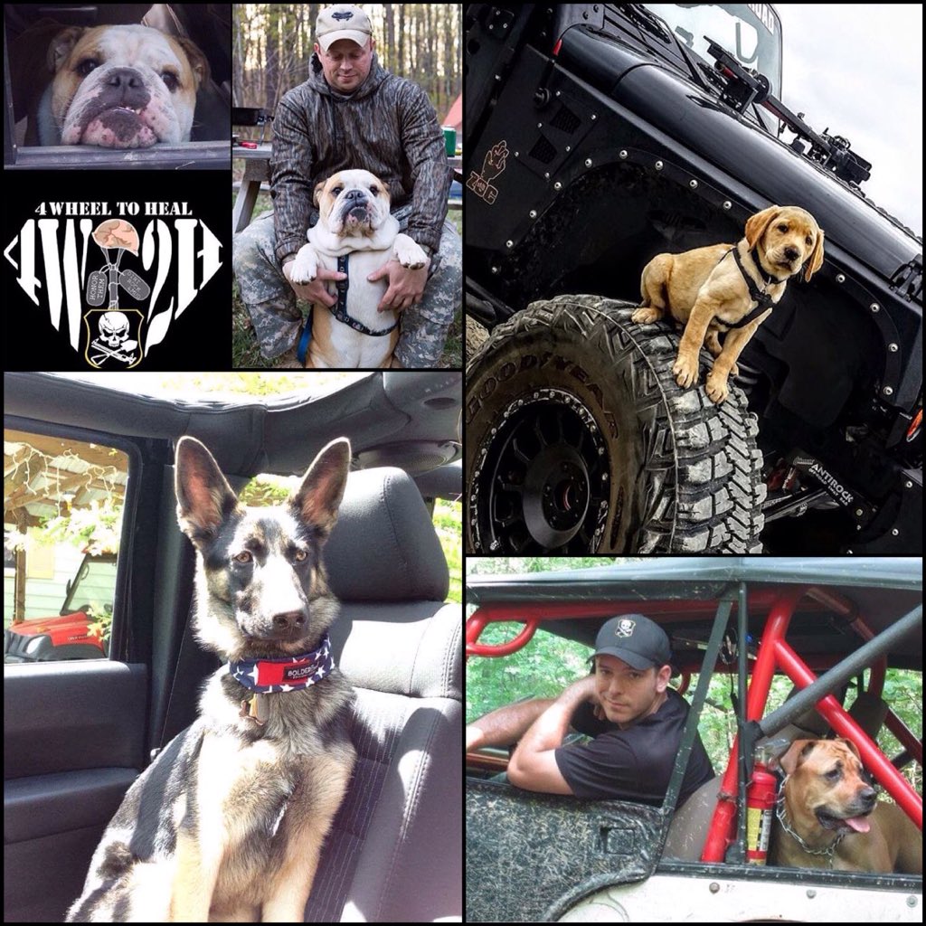 #nationalpuppyday 🐶 Do you have a #traildog you wheel with? Dogs are excellent companions in the recovery process. #JeepinDogs #4W2H #jeep