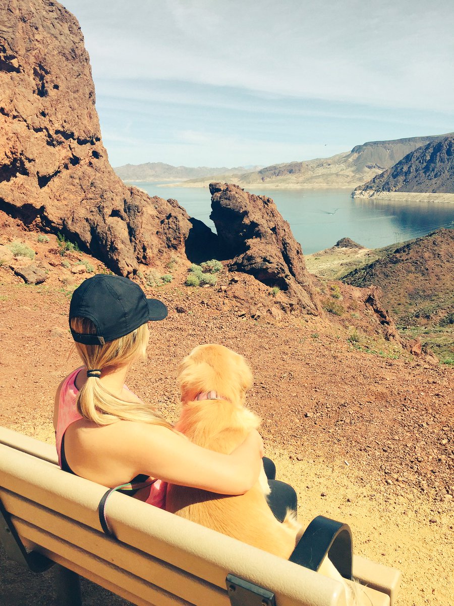 juneeebug23's tweet image. She&apos;s a princess every day! #NationalPuppyDay ♥️