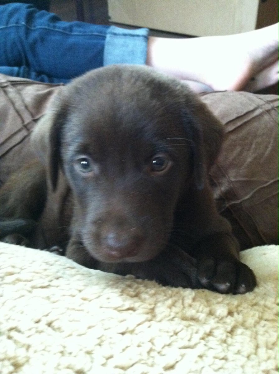 Matt Jaeger tweet media