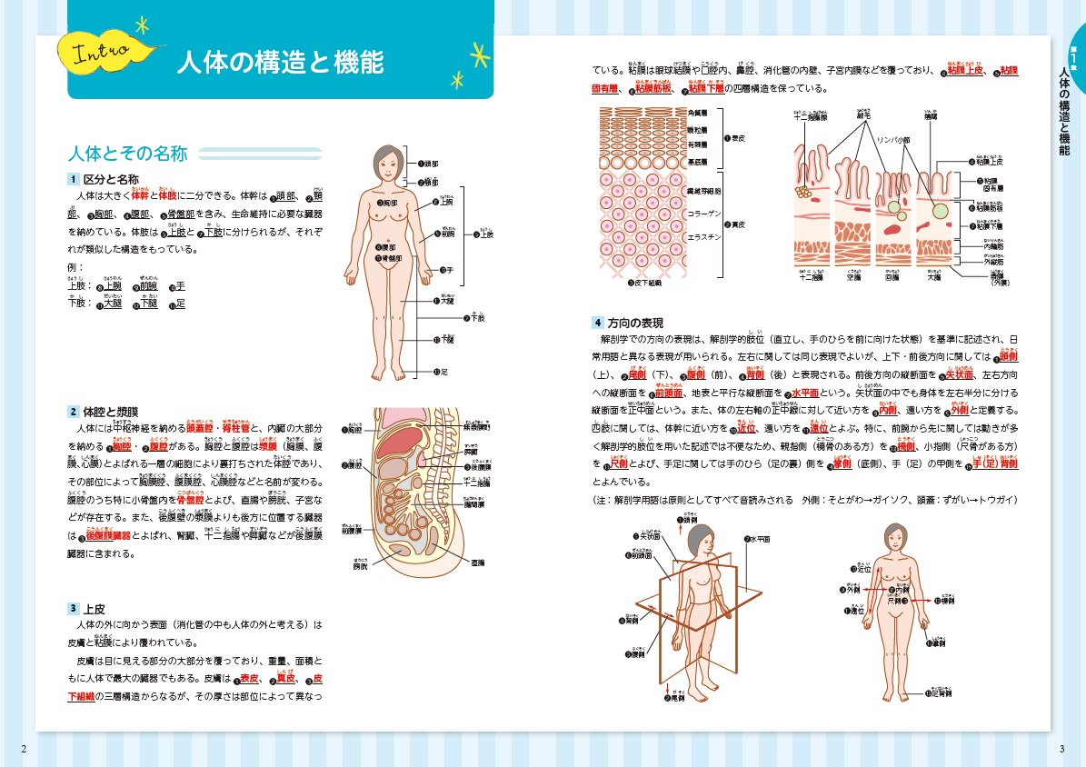 医学教育出版社 Kokutai秋号9 7発行 در توییتر おすすめ採用品 解剖生理学step By Step 易しい内容で インプット アウトプットが1冊でできるので 看護 準看 栄養士 医療事務などを目指す学生の教科書 副教材に適しています 立ち読みはこちらから