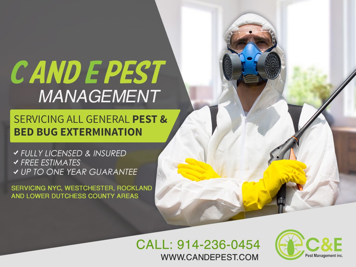 circulating new ads getting ready for spring.