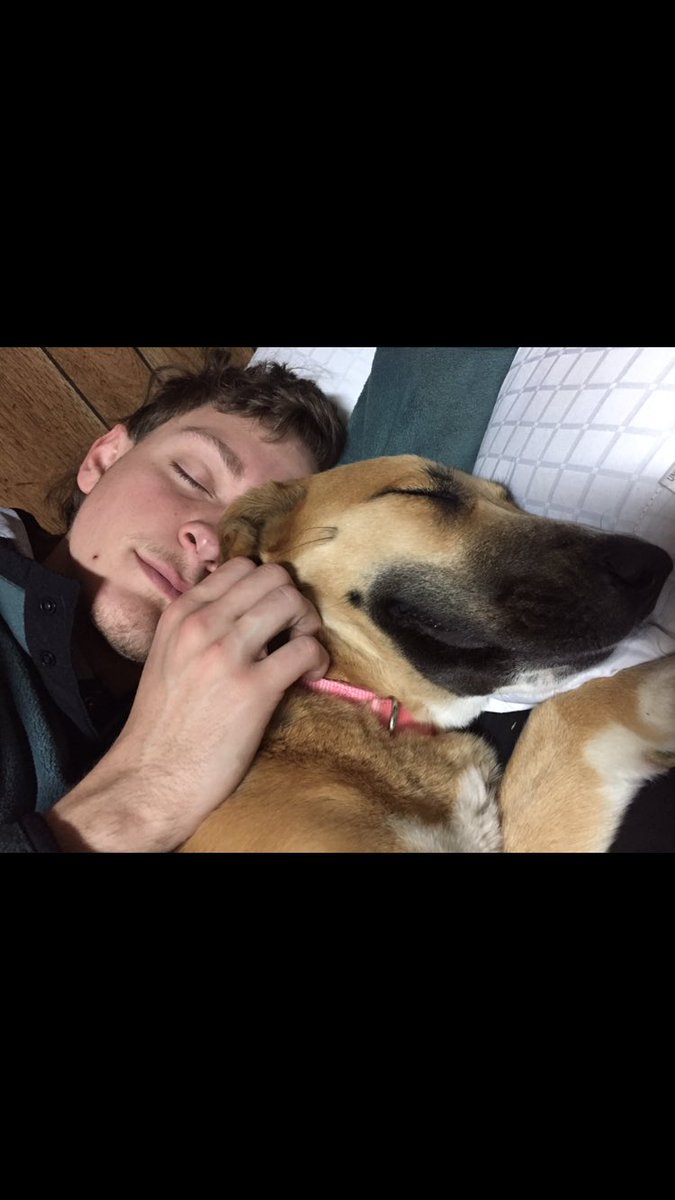 rraaqquueellll's tweet photo. #NationalPuppyDay &amp; I am absolutely obsessed with these two😍 https://t.co/PwROLVo4hm
