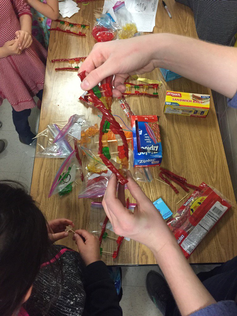 afogel29's tweet photo. Studying DNA is sweet! #andsugary #DOinGG #sciencenight https://t.co/lMLqe87s6z