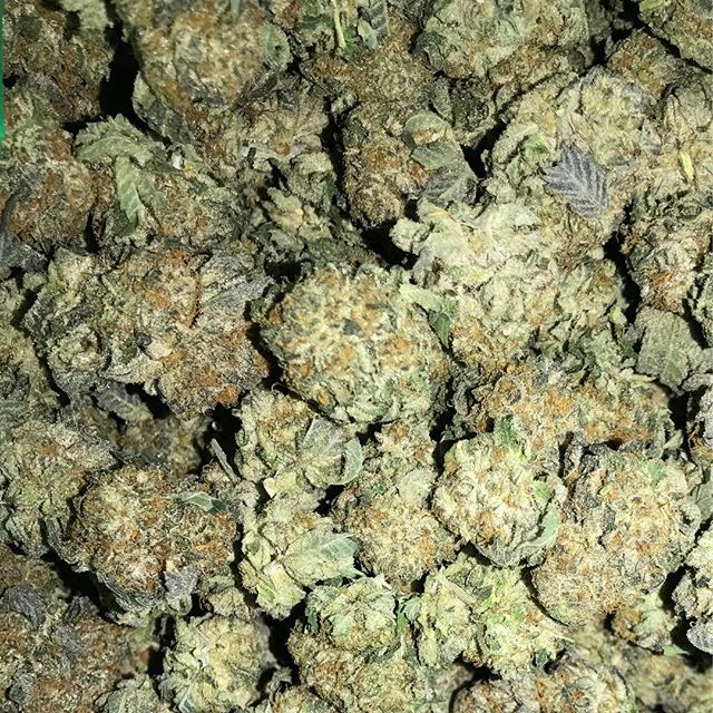 Who_Got_Loud's tweet photo. Girl Scout Cookies @theazcs #mmj #cannabis #hightimes #highsociety #dispensary #weedstagram420 #w420 #instaweed #legalize #staylifted #weedc https://t.co/Q3LVBBmW6j
