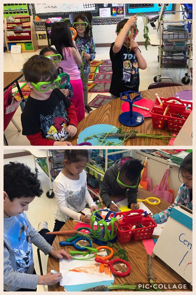 AmandaMurphy527's tweet photo. Today we were scientists. https://t.co/dkdqf6IP0d