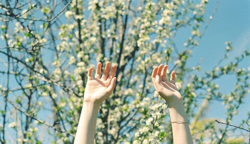 HyperAnimals's tweet photo. Comenzó la primavera y @tinder repartió regalos en varias zonas de la #CDMX... #Swipeforspring https://t.co/33wJc4CMrI https://t.co/6QSjRp0txR