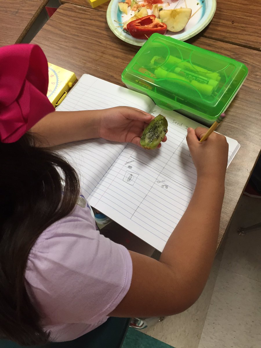 carter3rdgrade's tweet photo. Making real-world connections with hands on investigations. #whatsinthere #fruitplease @BJ__Smith https://t.co/sb1aEhgX1d
