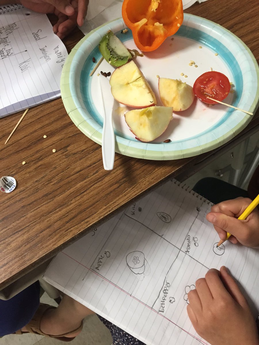 carter3rdgrade's tweet photo. Making real-world connections with hands on investigations. #whatsinthere #fruitplease @BJ__Smith https://t.co/sb1aEhgX1d