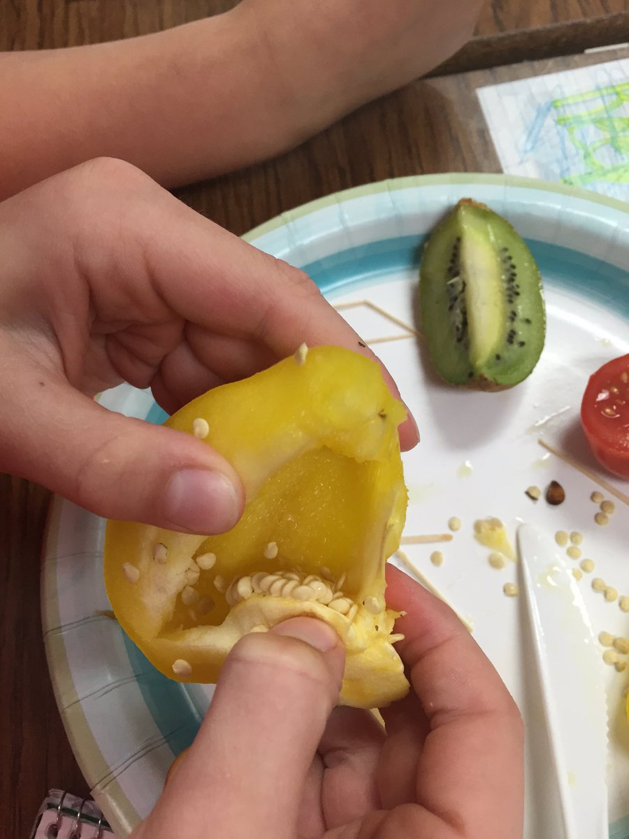 carter3rdgrade's tweet photo. Making real-world connections with hands on investigations. #whatsinthere #fruitplease @BJ__Smith https://t.co/sb1aEhgX1d