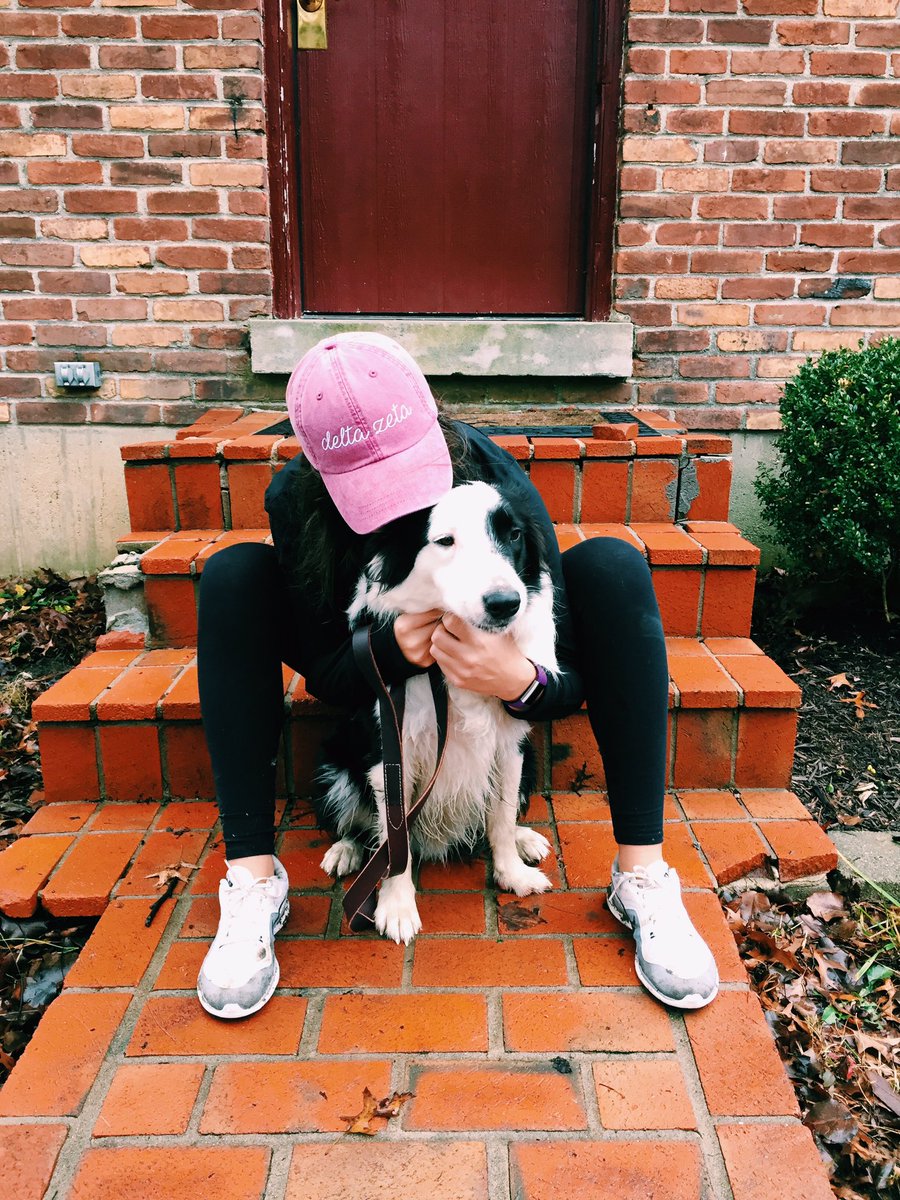 Happy national puppy day to all of our beautiful puppies! Go Purdue!