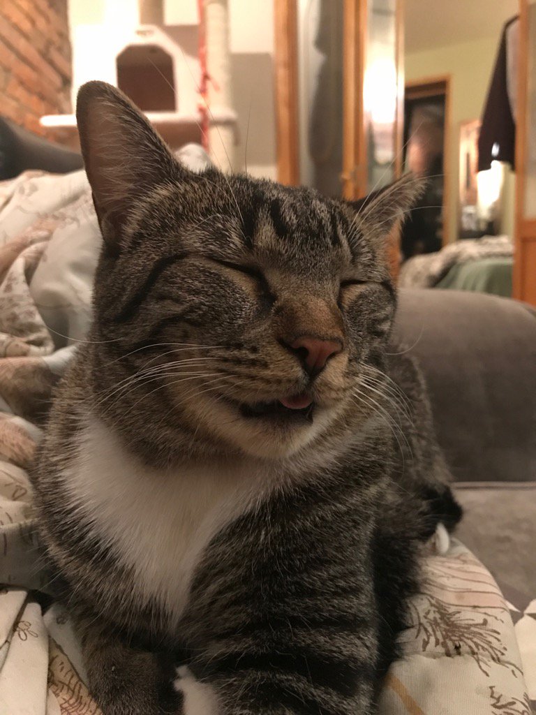 _LucaNet's tweet image. #dohigh5