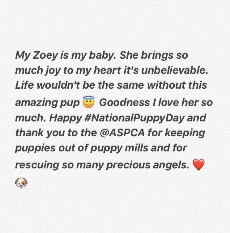 AllyBrooke's tweet photo. #NationalPuppyDay #ASPCA https://t.co/bNBaS2qKhI
