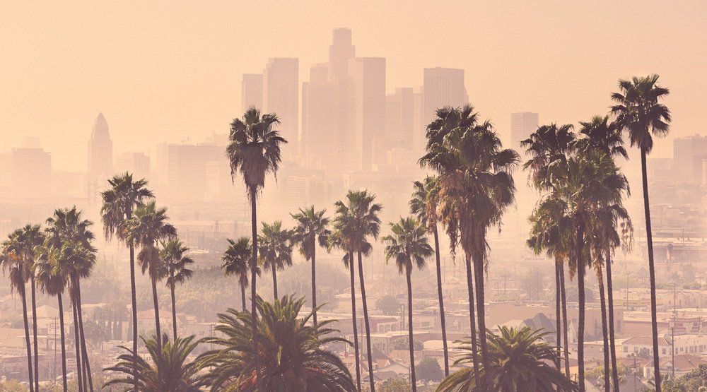 cactuspoint07's tweet photo. BoF: Can LA’s manufacturing base transcend denim and t-shirts? https://t.co/EWz2JuaSPY https://t.co/rSyhPOOPx1