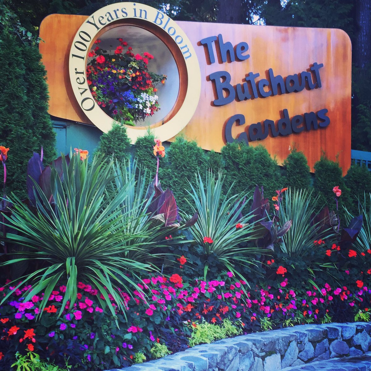 ITTWilsons's tweet photo. Our new Shuttles to the iconic Butchart Gardens start soon! Hotel door to door pickup! Small groups. Skip the line-ups, we save u a seat. https://t.co/l5fCV7E3hw