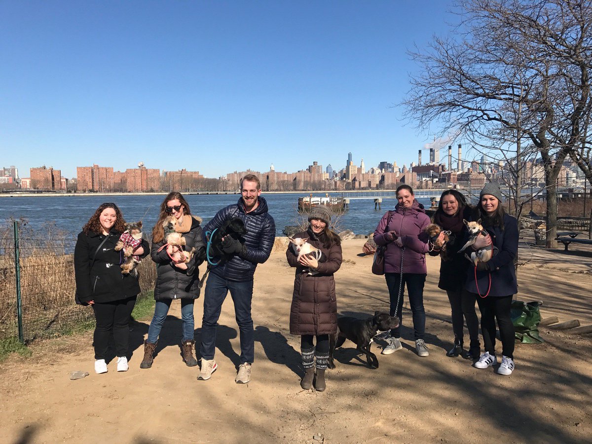 GCIHealth's tweet photo. We volunteered to walk rescue dogs at @BARCanimals to give back &amp; do something different in our community on #NationalPuppyDay #AnimalHealth https://t.co/sSKLvKCDRH